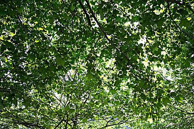 艾达王配音被网暴后发声：反对性压榨亚裔女性