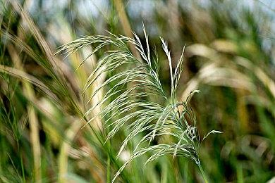 网传《极品飞车22》测试计划于10＆13-18进行